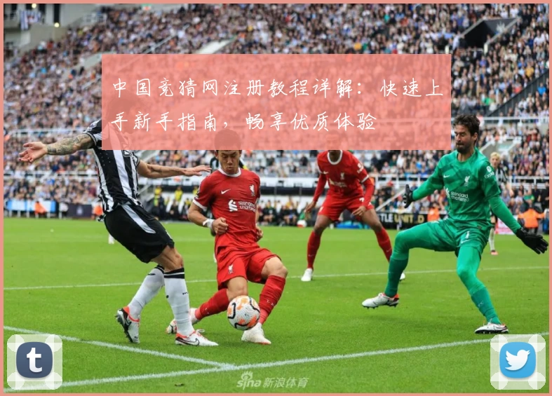 中国竞猜网注册教程详解：快速上手新手指南，畅享优质体验