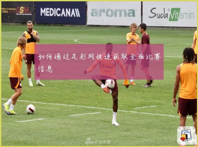 如何通过足彩网快速获取全面比赛信息