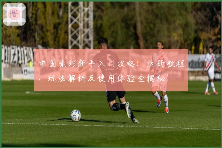 中国竞彩新手入门攻略：注册教程、玩法解析及使用体验全揭秘！