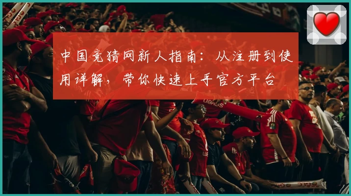 中国竞猜网新人指南：从注册到使用详解，带你快速上手官方平台