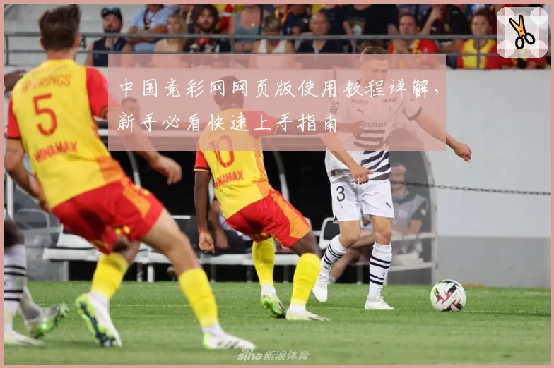 中国竞彩网网页版使用教程详解，新手必看快速上手指南